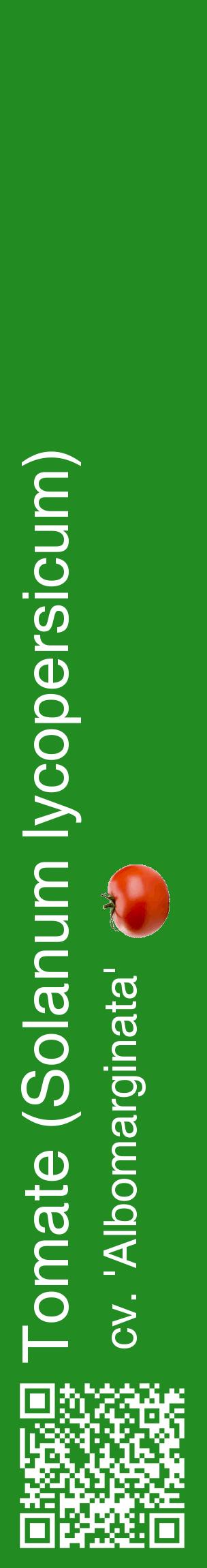 Étiquette de : Solanum lycopersicum cv. 'Albomarginata' - format c - style blanche10_basiquehel avec qrcode et comestibilité simplifiée