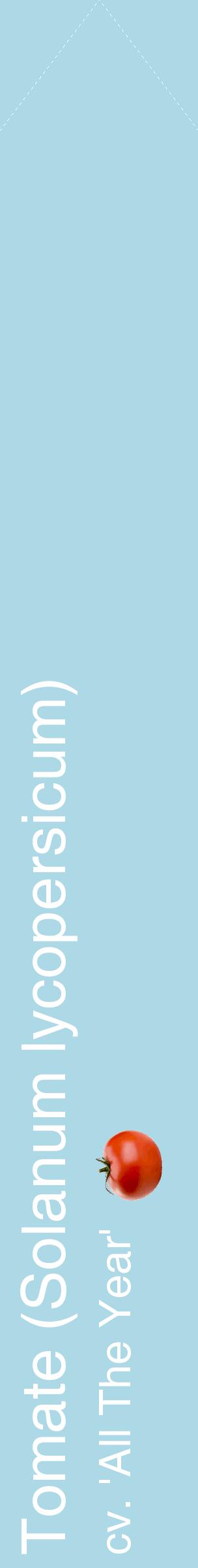 Étiquette de : Solanum lycopersicum cv. 'All The Year' - format c - style blanche0_simplehel avec comestibilité simplifiée