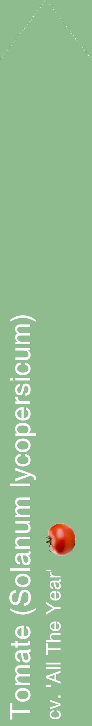 Étiquette de : Solanum lycopersicum cv. 'All The Year' - format c - style blanche13_simplehel avec comestibilité simplifiée
