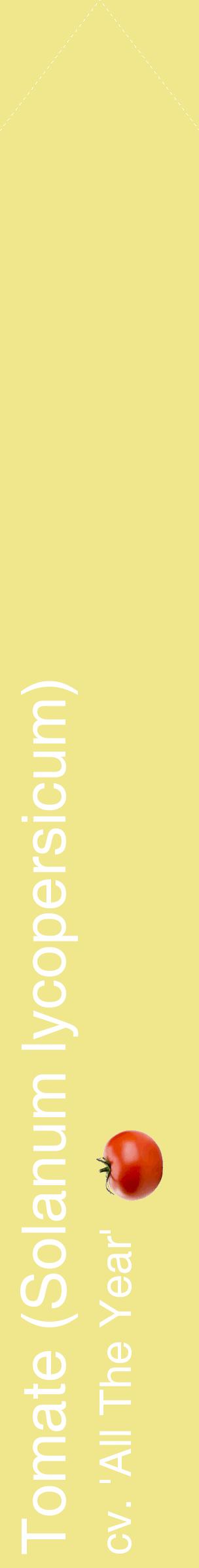 Étiquette de : Solanum lycopersicum cv. 'All The Year' - format c - style blanche20_simplehel avec comestibilité simplifiée