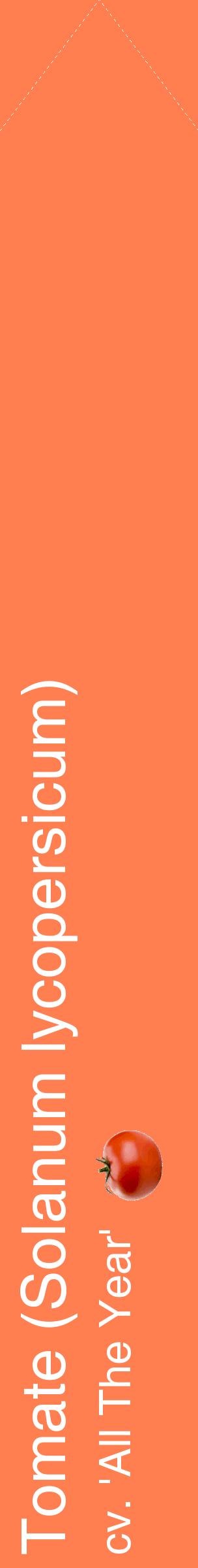 Étiquette de : Solanum lycopersicum cv. 'All The Year' - format c - style blanche24_simplehel avec comestibilité simplifiée
