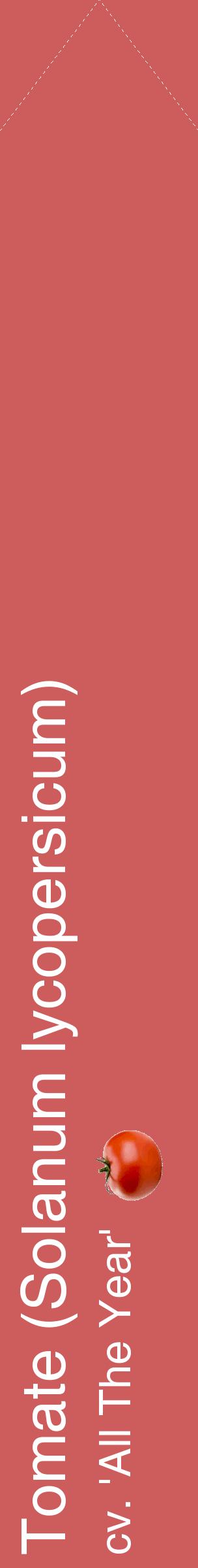 Étiquette de : Solanum lycopersicum cv. 'All The Year' - format c - style blanche35_simplehel avec comestibilité simplifiée