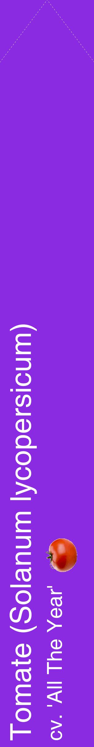 Étiquette de : Solanum lycopersicum cv. 'All The Year' - format c - style blanche49_simplehel avec comestibilité simplifiée