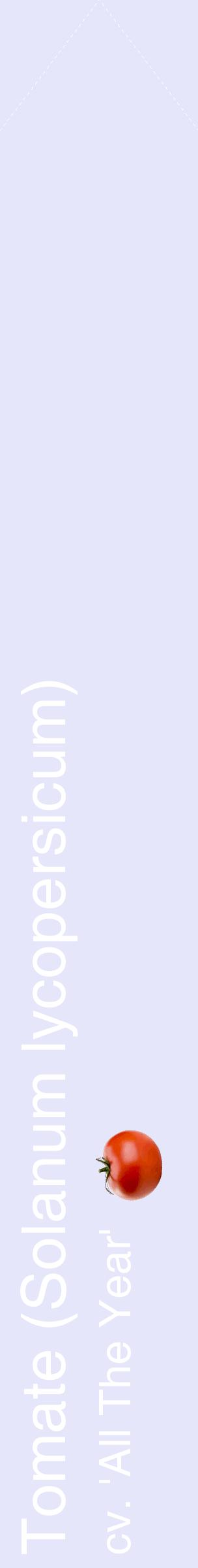 Étiquette de : Solanum lycopersicum cv. 'All The Year' - format c - style blanche55_simplehel avec comestibilité simplifiée
