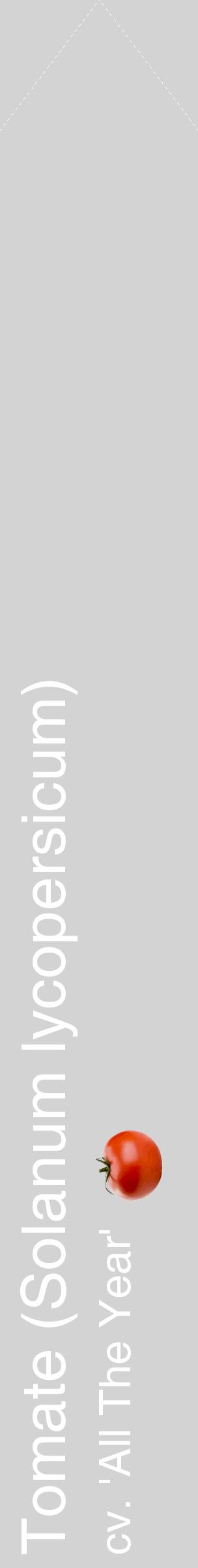 Étiquette de : Solanum lycopersicum cv. 'All The Year' - format c - style blanche56_simplehel avec comestibilité simplifiée