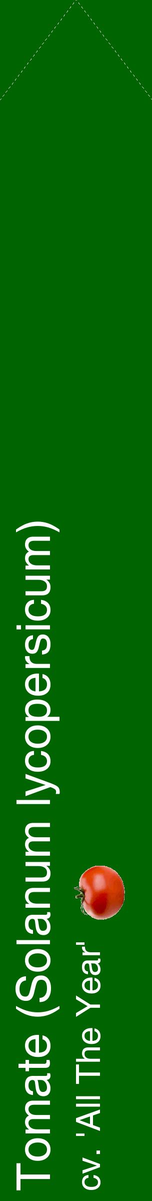 Étiquette de : Solanum lycopersicum cv. 'All The Year' - format c - style blanche8_simplehel avec comestibilité simplifiée