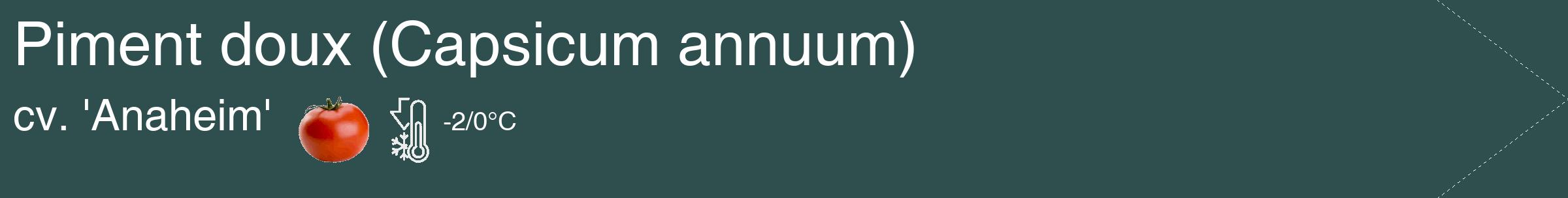 Étiquette de : Capsicum annuum cv. 'Anaheim' - format c - style blanche58simple_simple_simplehel avec comestibilité simplifiée