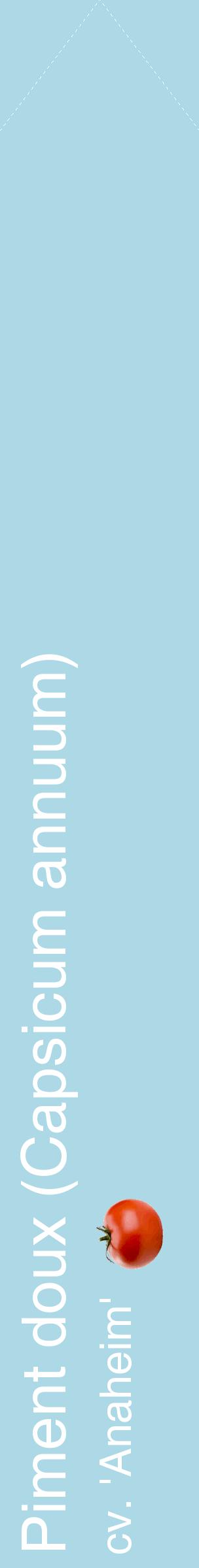 Étiquette de : Capsicum annuum cv. 'Anaheim' - format c - style blanche0_simplehel avec comestibilité simplifiée