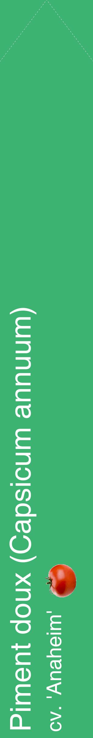 Étiquette de : Capsicum annuum cv. 'Anaheim' - format c - style blanche12_simplehel avec comestibilité simplifiée