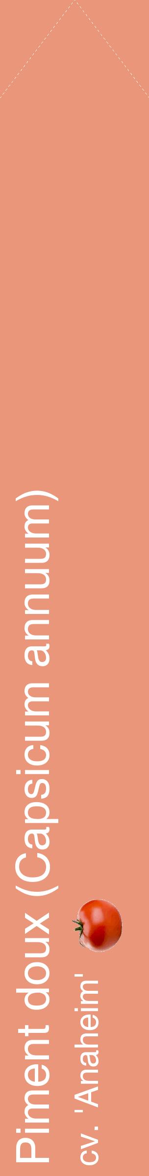 Étiquette de : Capsicum annuum cv. 'Anaheim' - format c - style blanche37_simplehel avec comestibilité simplifiée