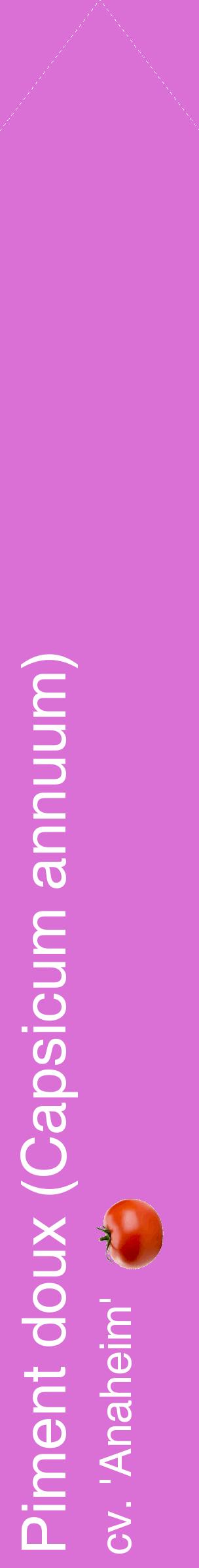 Étiquette de : Capsicum annuum cv. 'Anaheim' - format c - style blanche52_simplehel avec comestibilité simplifiée