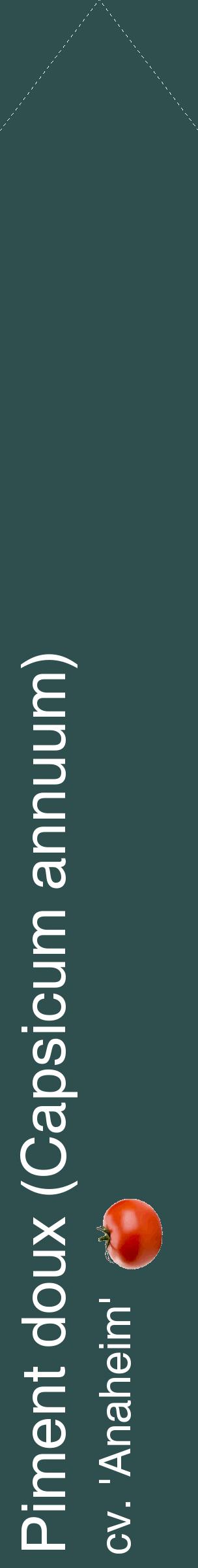 Étiquette de : Capsicum annuum cv. 'Anaheim' - format c - style blanche58_simplehel avec comestibilité simplifiée