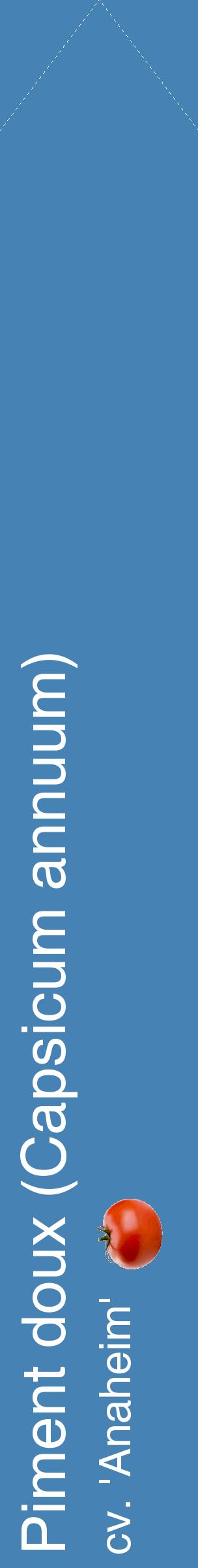 Étiquette de : Capsicum annuum cv. 'Anaheim' - format c - style blanche5_simplehel avec comestibilité simplifiée