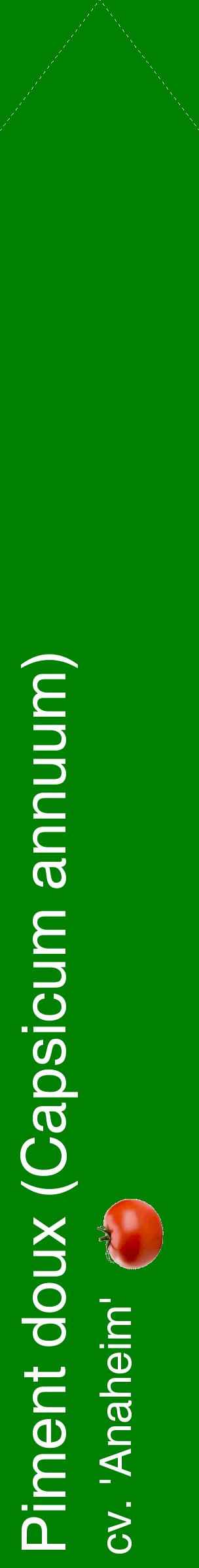 Étiquette de : Capsicum annuum cv. 'Anaheim' - format c - style blanche9_simplehel avec comestibilité simplifiée