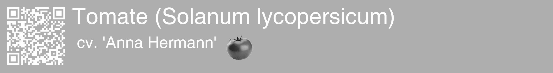 Étiquette de : Solanum lycopersicum cv. 'Anna Hermann' - format c - style blanche53_basique_basiquehel avec qrcode et comestibilité simplifiée