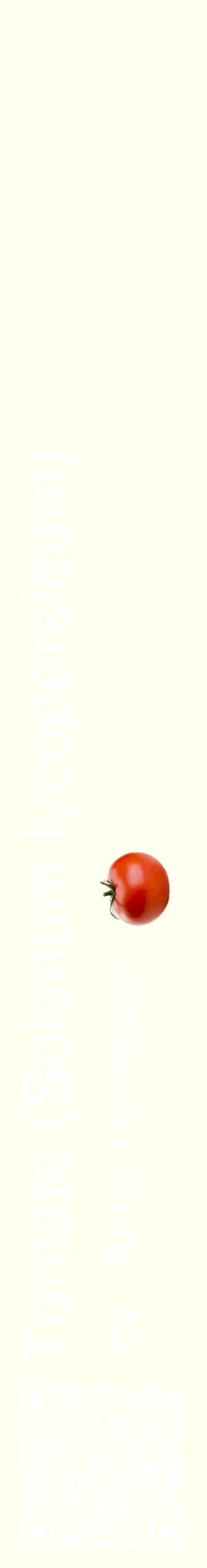 Étiquette de : Solanum lycopersicum cv. 'Anna Hermann' - format c - style blanche19_basiquehel avec qrcode et comestibilité simplifiée