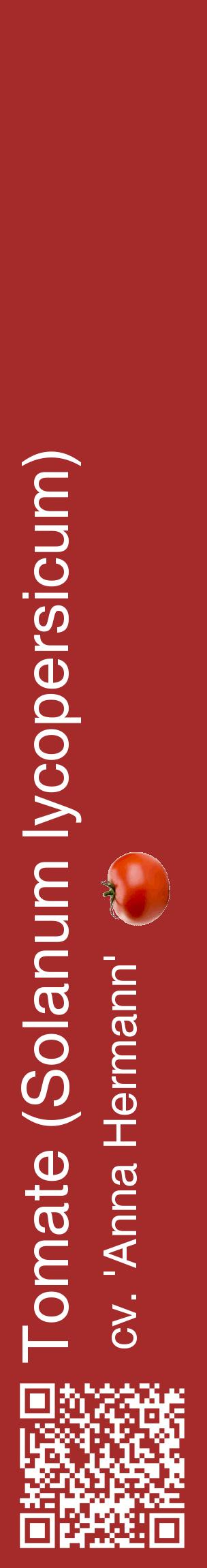 Étiquette de : Solanum lycopersicum cv. 'Anna Hermann' - format c - style blanche33_basiquehel avec qrcode et comestibilité simplifiée