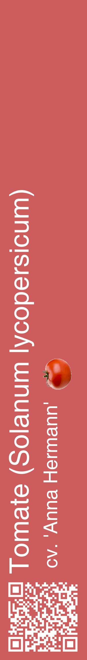 Étiquette de : Solanum lycopersicum cv. 'Anna Hermann' - format c - style blanche35_basiquehel avec qrcode et comestibilité simplifiée