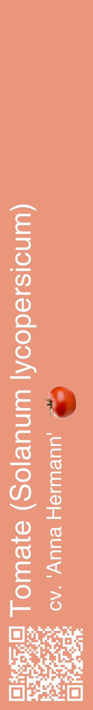 Étiquette de : Solanum lycopersicum cv. 'Anna Hermann' - format c - style blanche37_basiquehel avec qrcode et comestibilité simplifiée
