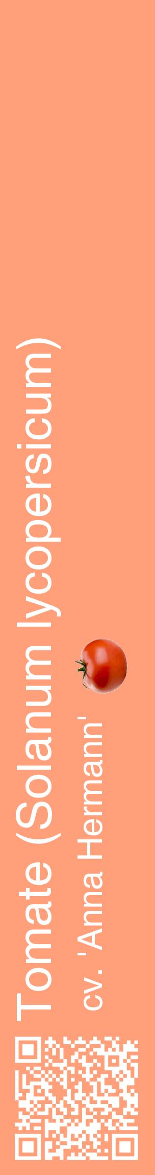 Étiquette de : Solanum lycopersicum cv. 'Anna Hermann' - format c - style blanche39_basiquehel avec qrcode et comestibilité simplifiée