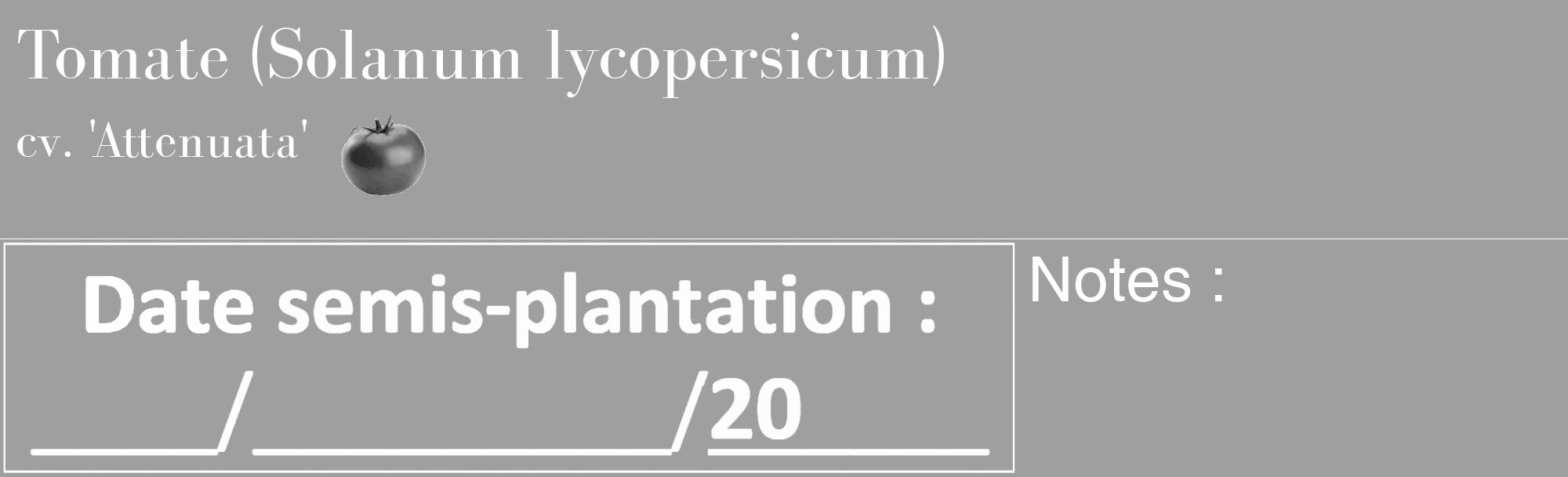 Étiquette de : Solanum lycopersicum cv. 'Attenuata' - format c - style blanche24_basique_basiquebod avec comestibilité simplifiée