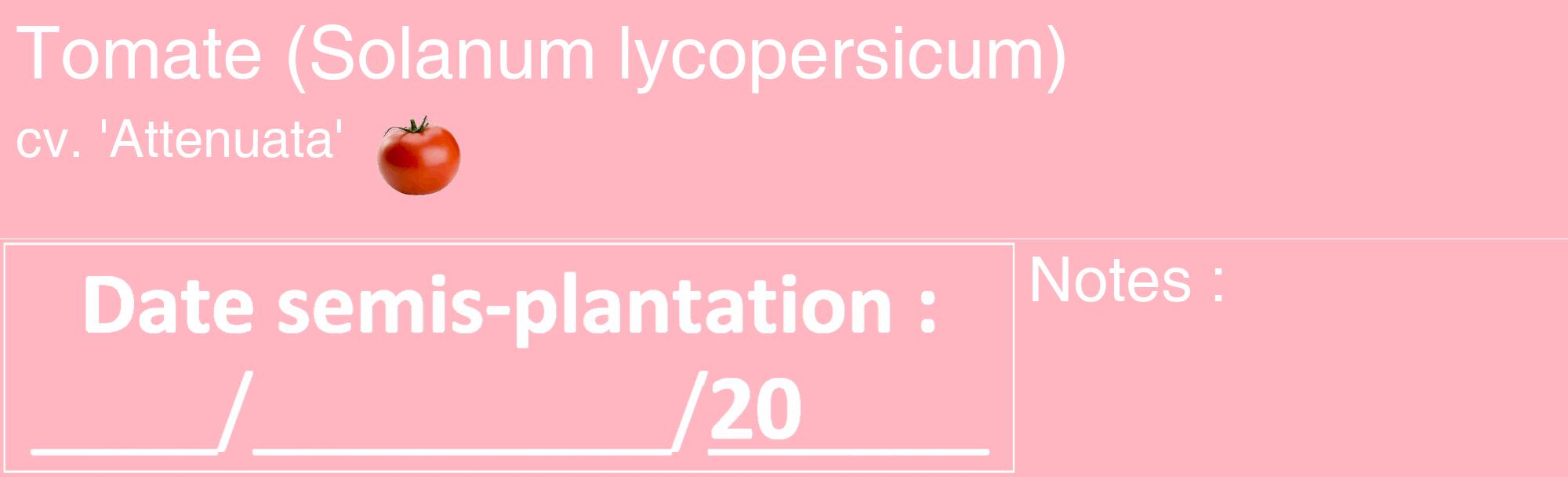 Étiquette de : Solanum lycopersicum cv. 'Attenuata' - format c - style blanche41_basique_basiquehel avec comestibilité simplifiée
