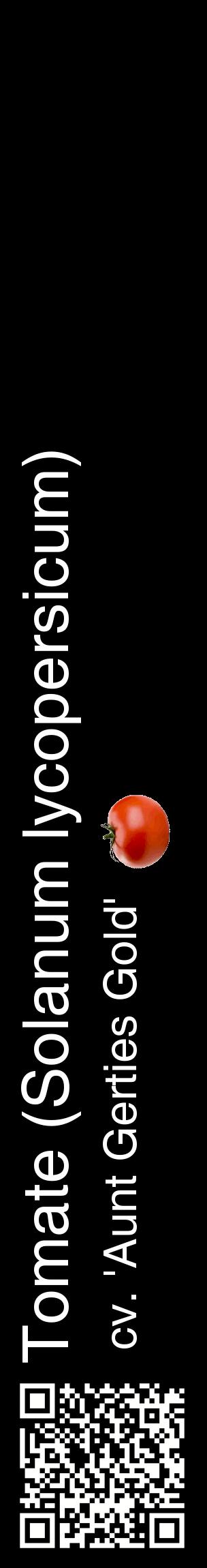 Étiquette de : Solanum lycopersicum cv. 'Aunt Gerties Gold' - format c - style blanche59_basiquehel avec qrcode et comestibilité simplifiée