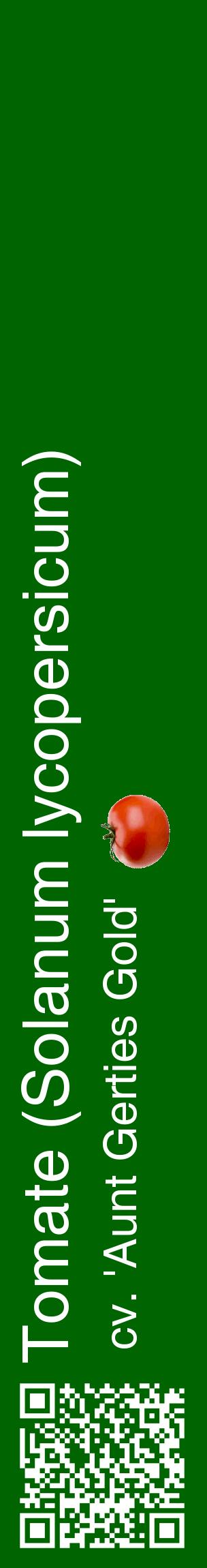 Étiquette de : Solanum lycopersicum cv. 'Aunt Gerties Gold' - format c - style blanche8_basiquehel avec qrcode et comestibilité simplifiée