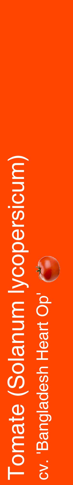 Étiquette de : Solanum lycopersicum cv. 'Bangladesh Heart Op' - format c - style blanche26_basiquehel avec comestibilité simplifiée