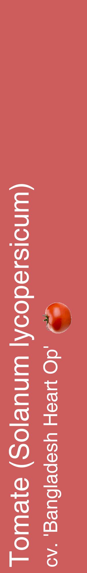 Étiquette de : Solanum lycopersicum cv. 'Bangladesh Heart Op' - format c - style blanche35_basiquehel avec comestibilité simplifiée