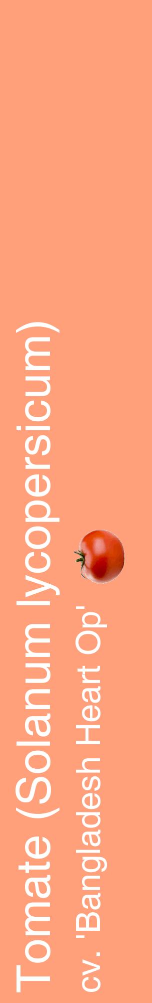 Étiquette de : Solanum lycopersicum cv. 'Bangladesh Heart Op' - format c - style blanche39_basiquehel avec comestibilité simplifiée