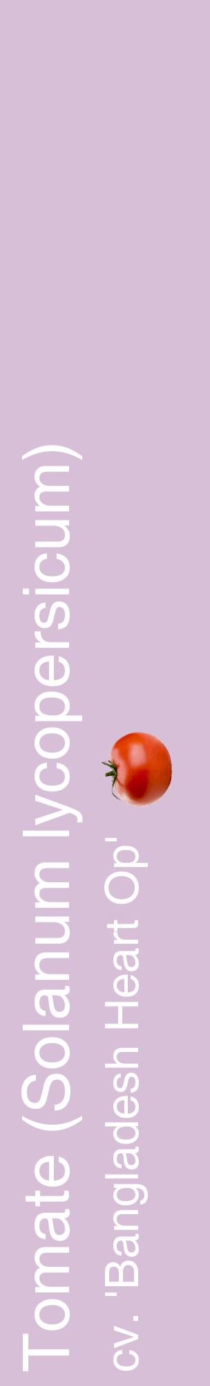 Étiquette de : Solanum lycopersicum cv. 'Bangladesh Heart Op' - format c - style blanche54_basiquehel avec comestibilité simplifiée