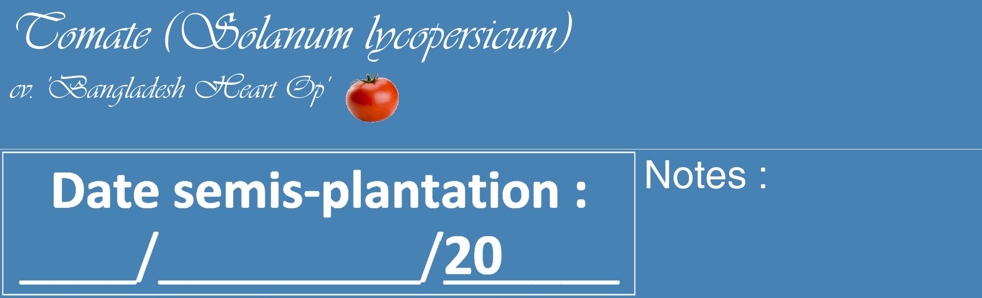 Étiquette de : Solanum lycopersicum cv. 'Bangladesh Heart Op' - format c - style blanche5_basique_basiqueviv avec comestibilité simplifiée