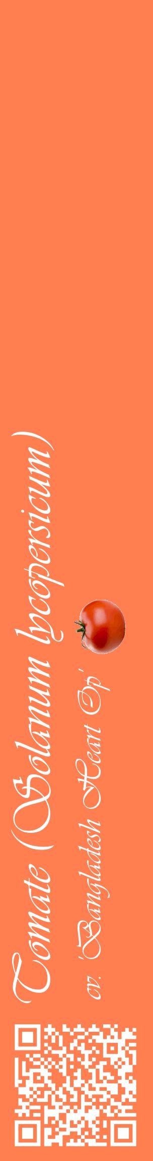 Étiquette de : Solanum lycopersicum cv. 'Bangladesh Heart Op' - format c - style blanche24_basiqueviv avec qrcode et comestibilité simplifiée