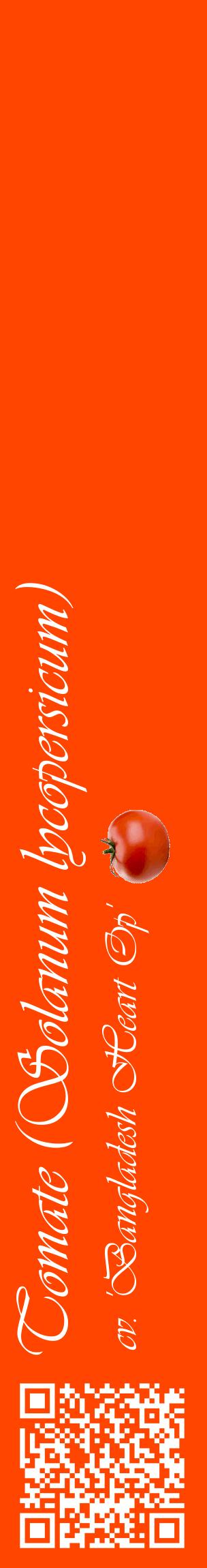 Étiquette de : Solanum lycopersicum cv. 'Bangladesh Heart Op' - format c - style blanche26_basiqueviv avec qrcode et comestibilité simplifiée