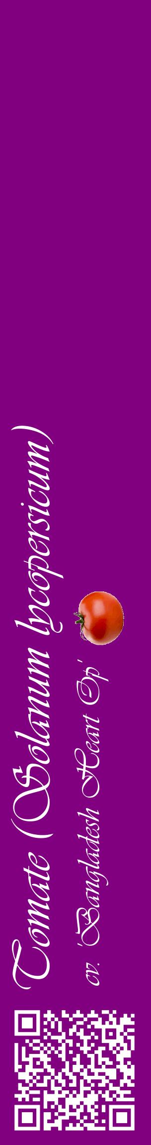 Étiquette de : Solanum lycopersicum cv. 'Bangladesh Heart Op' - format c - style blanche46_basiqueviv avec qrcode et comestibilité simplifiée