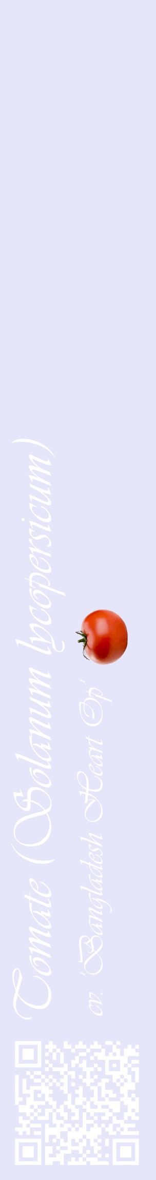 Étiquette de : Solanum lycopersicum cv. 'Bangladesh Heart Op' - format c - style blanche55_basiqueviv avec qrcode et comestibilité simplifiée