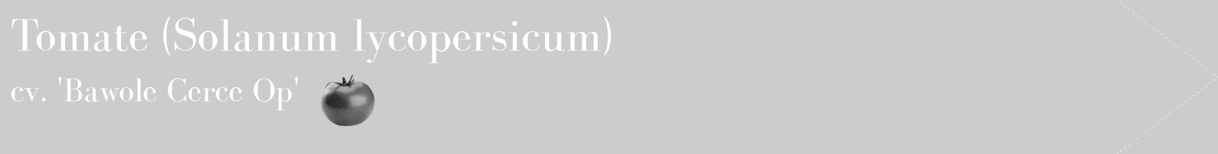 Étiquette de : Solanum lycopersicum cv. 'Bawole Cerce Op' - format c - style blanche0_simple_simplebod avec comestibilité simplifiée