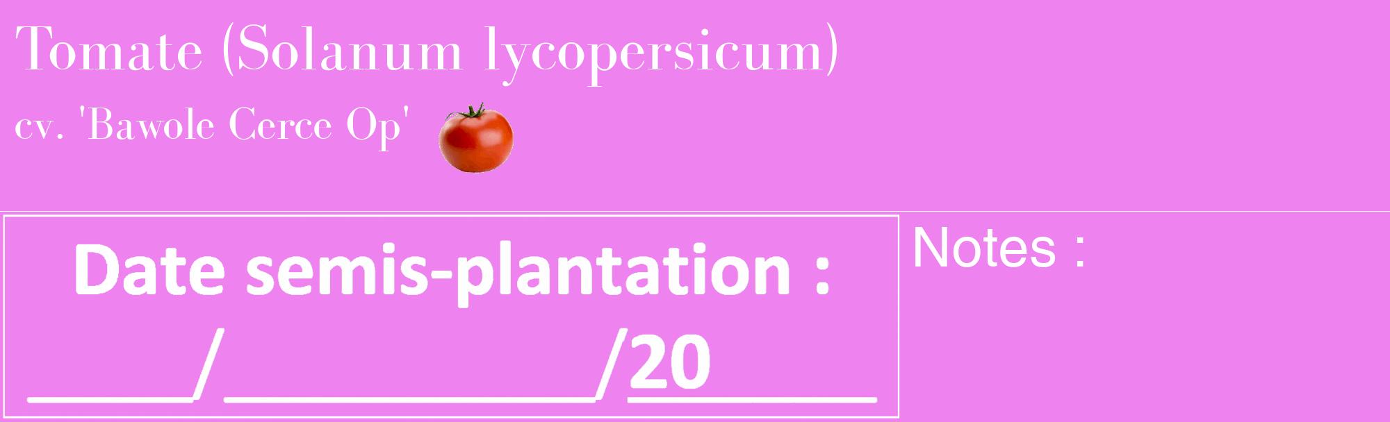 Étiquette de : Solanum lycopersicum cv. 'Bawole Cerce Op' - format c - style blanche53_basique_basiquebod avec comestibilité simplifiée