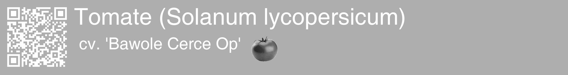 Étiquette de : Solanum lycopersicum cv. 'Bawole Cerce Op' - format c - style blanche53_basique_basiquehel avec qrcode et comestibilité simplifiée