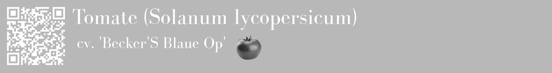Étiquette de : Solanum lycopersicum cv. 'Becker'S Blaue Op' - format c - style blanche39_basique_basiquebod avec qrcode et comestibilité simplifiée