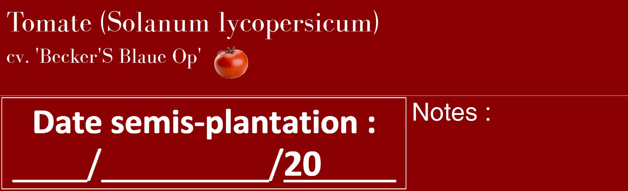 Étiquette de : Solanum lycopersicum cv. 'Becker'S Blaue Op' - format c - style blanche34_basique_basiquebod avec comestibilité simplifiée