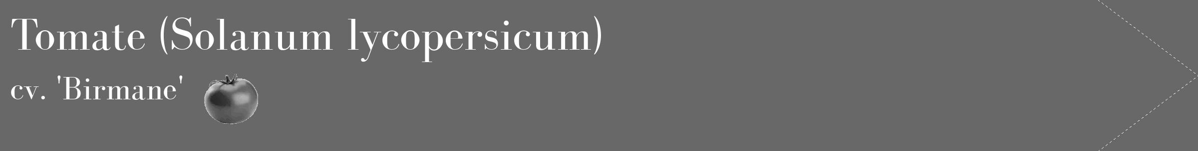 Étiquette de : Solanum lycopersicum cv. 'Birmane' - format c - style blanche43_simple_simplebod avec comestibilité simplifiée