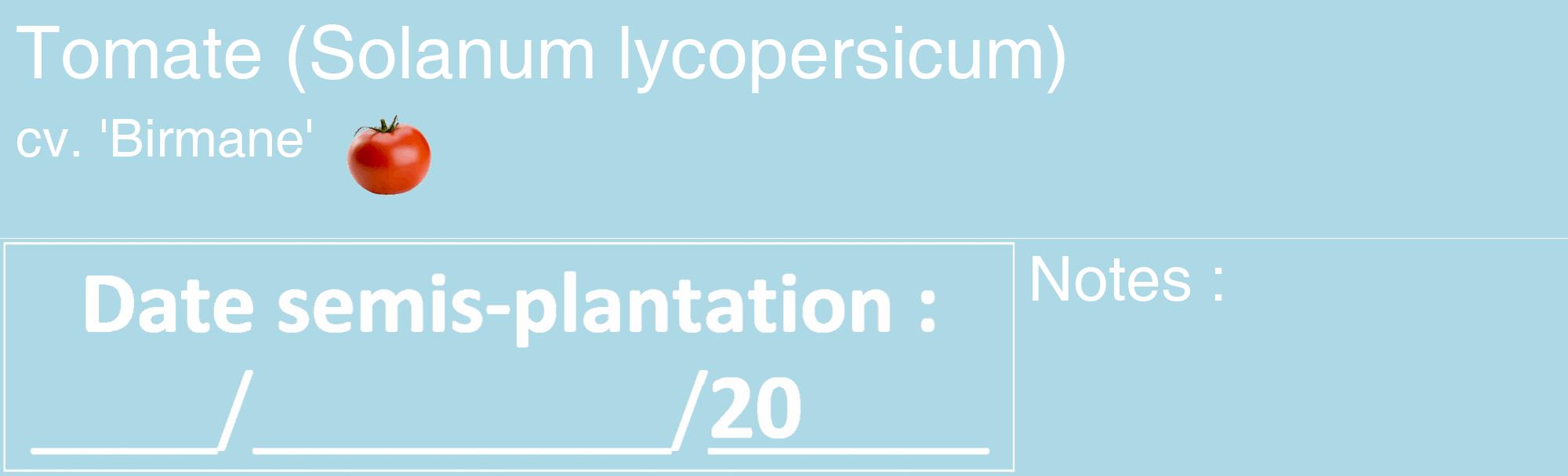 Étiquette de : Solanum lycopersicum cv. 'Birmane' - format c - style blanche0_basique_basiquehel avec comestibilité simplifiée