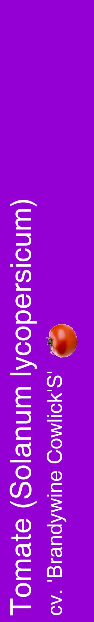 Étiquette de : Solanum lycopersicum cv. 'Brandywine Cowlick'S' - format c - style blanche48_basiquehel avec comestibilité simplifiée