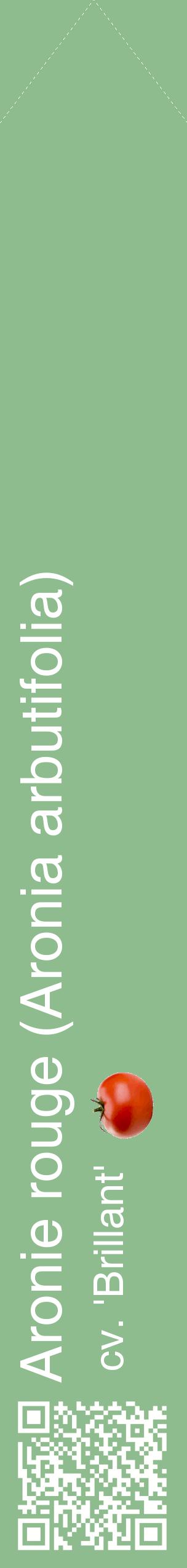 Étiquette de : Aronia arbutifolia cv. 'Brillant' - format c - style blanche13_simplehel avec qrcode et comestibilité simplifiée