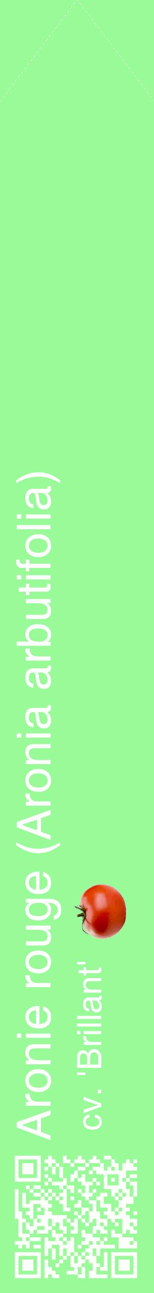 Étiquette de : Aronia arbutifolia cv. 'Brillant' - format c - style blanche14_simplehel avec qrcode et comestibilité simplifiée