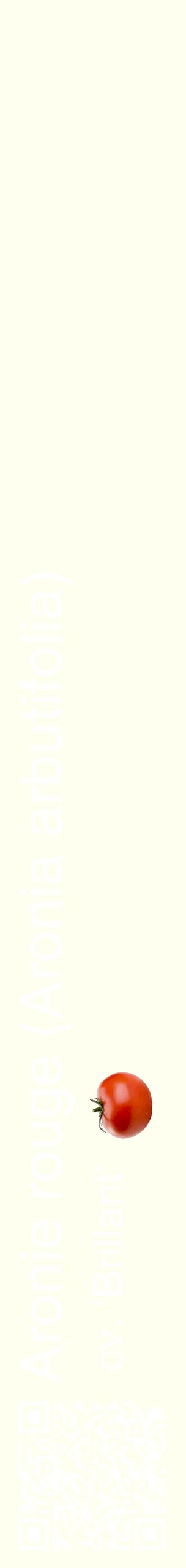 Étiquette de : Aronia arbutifolia cv. 'Brillant' - format c - style blanche19_simplehel avec qrcode et comestibilité simplifiée