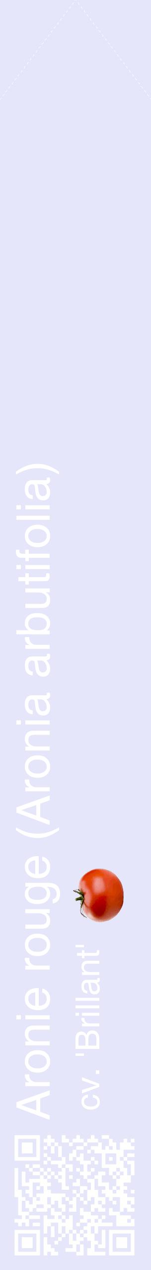 Étiquette de : Aronia arbutifolia cv. 'Brillant' - format c - style blanche55_simplehel avec qrcode et comestibilité simplifiée