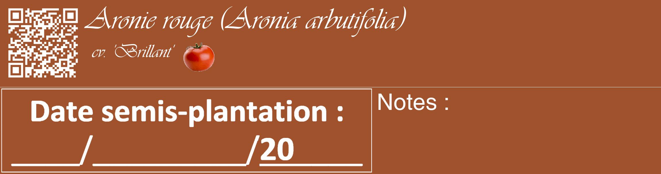 Étiquette de : Aronia arbutifolia cv. 'Brillant' - format c - style blanche32_basique_basiqueviv avec qrcode et comestibilité simplifiée